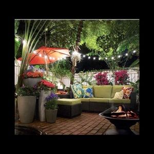 Meet your Posher, Phoebe